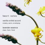 عطر کایلی جنر Cosmic 2.0