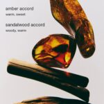 عطر کایلی جنر Cosmic 2.0