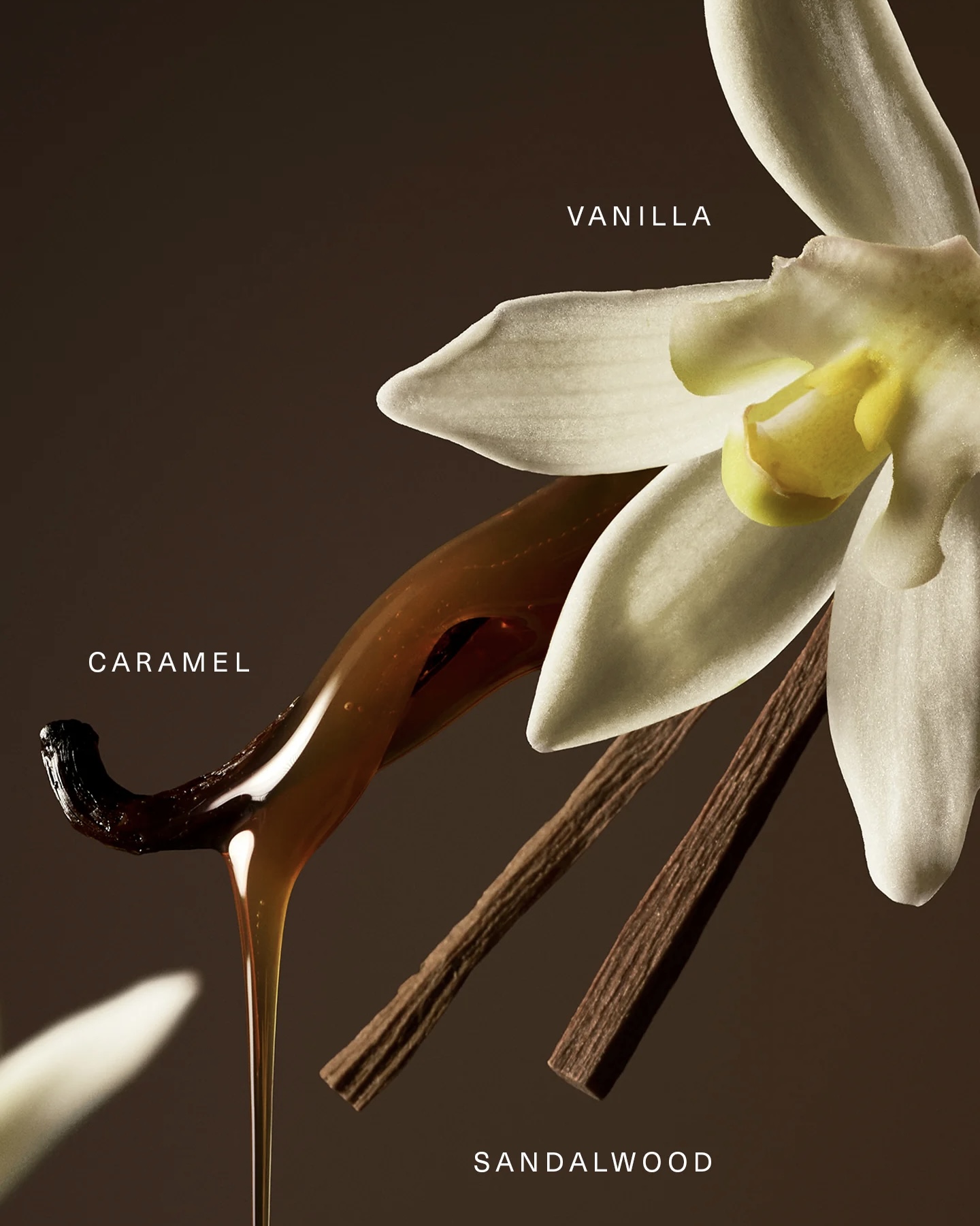 عطر سلینا گومز Rare Beauty