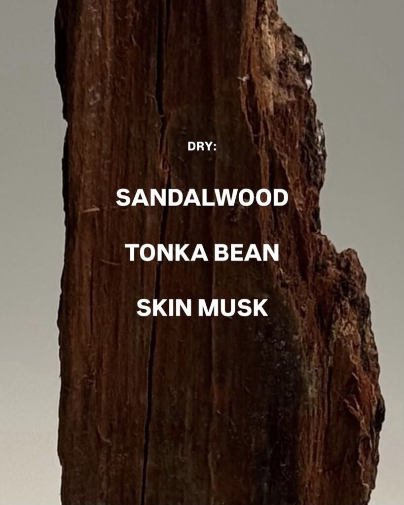 عطر سلینا گومز Rare Beauty