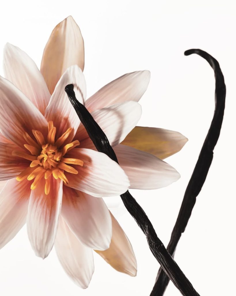 میست بدن و مو وانیلی Kylie Cosmetics