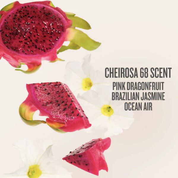 جت ست BEIJA FLOR™ برند Sol De Janeiro