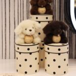 هانی پاپ Gisou🐶🌟(محدود)