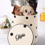 هانی پاپ Gisou🐶🌟(محدود)