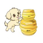 هانی پاپ Gisou🐶🌟(محدود)